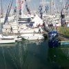 La Rochelle Boat Show '10